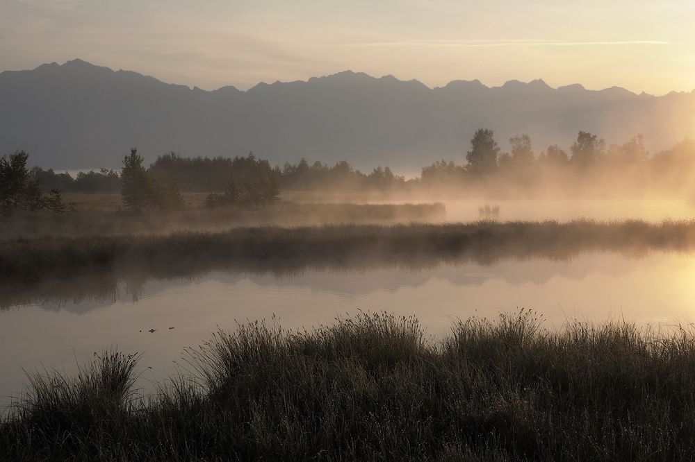 Photograph by Александр Попов