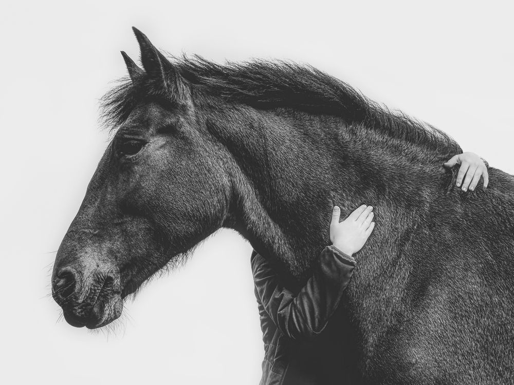 Photograph by Анжелика Титова