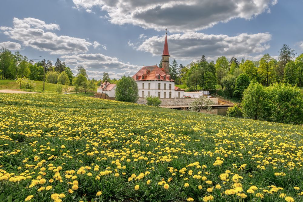 Photograph by Владимир Колесников
