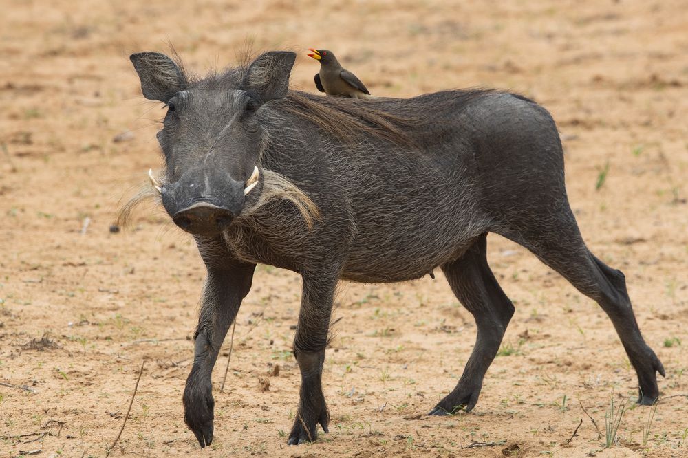 Photograph by Алексей Шаскольский