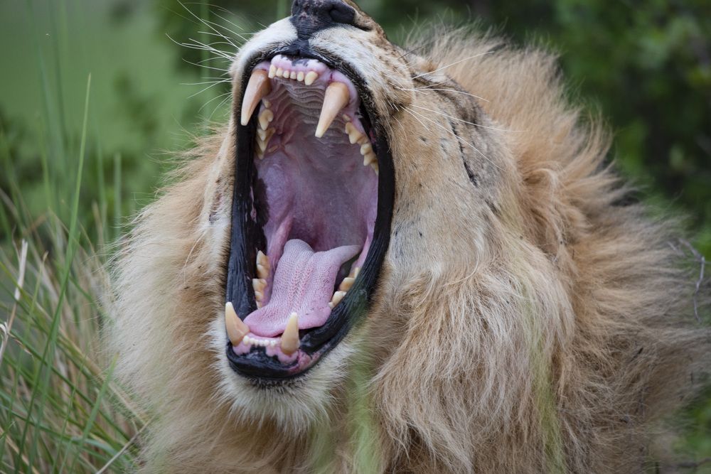 Photograph by Алексей Шаскольский