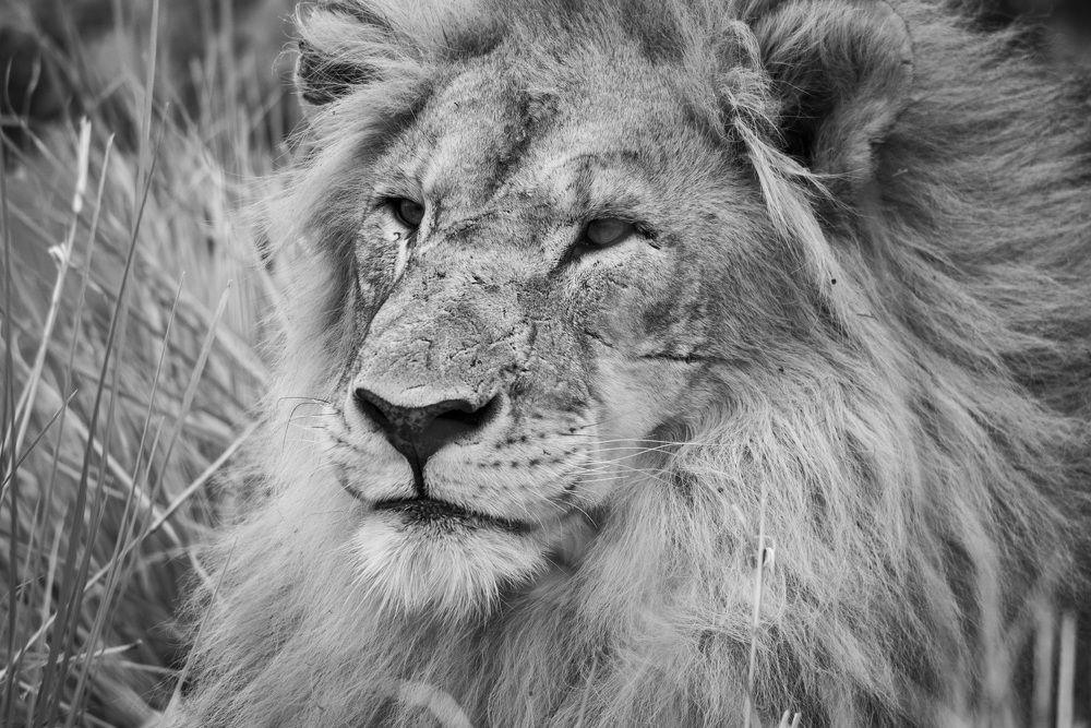 Photograph by Алексей Шаскольский