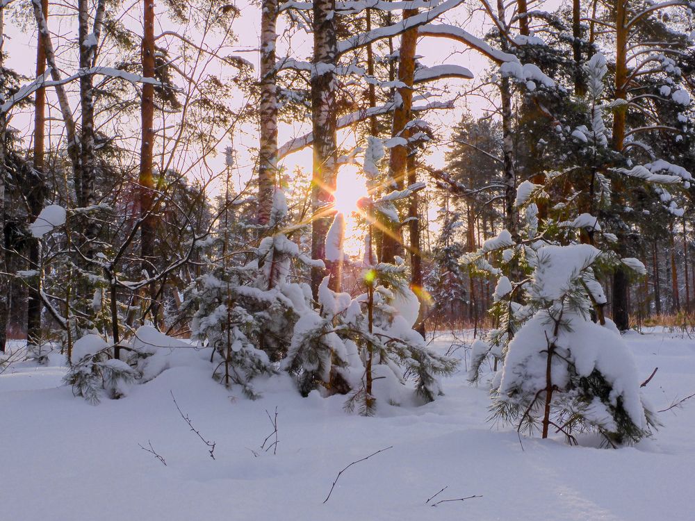 Photograph by Игорь Смирнов