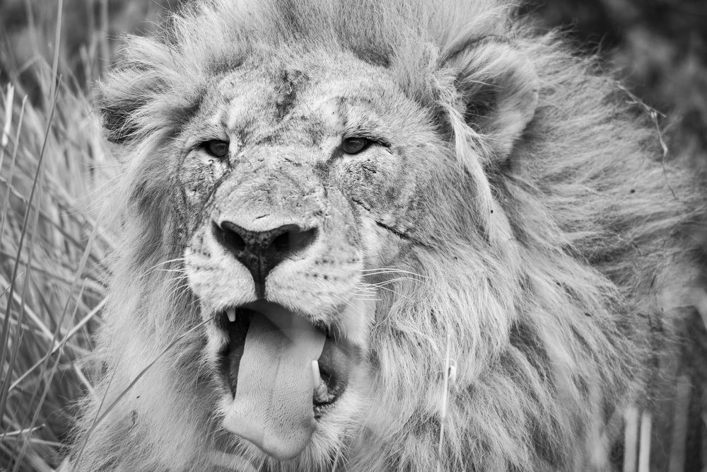 Photograph by Алексей Шаскольский