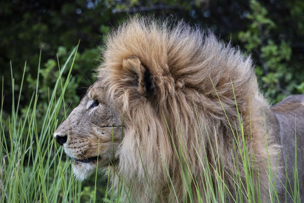 Photograph by Алексей Шаскольский