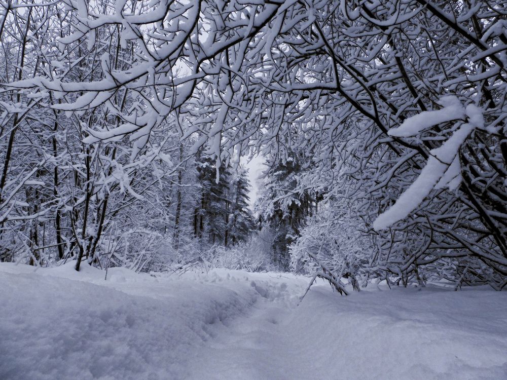 Photograph by Игорь Смирнов