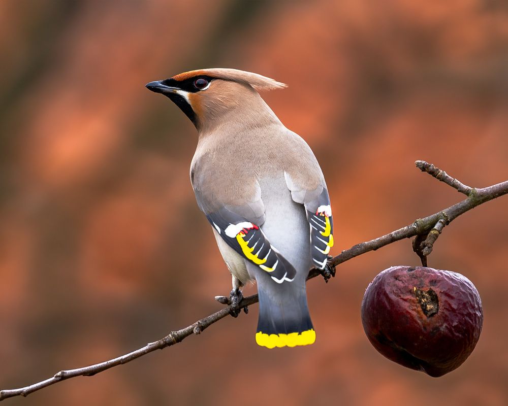 Photograph by George Alexandru Ghiuro