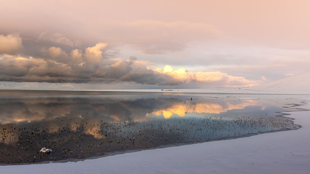 Photograph by Bevzenko Roman