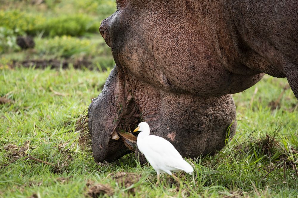 Photograph by Алексей Шаскольский