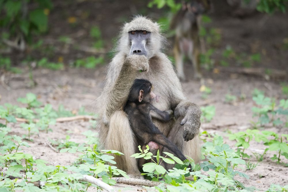 Photograph by Алексей Шаскольский