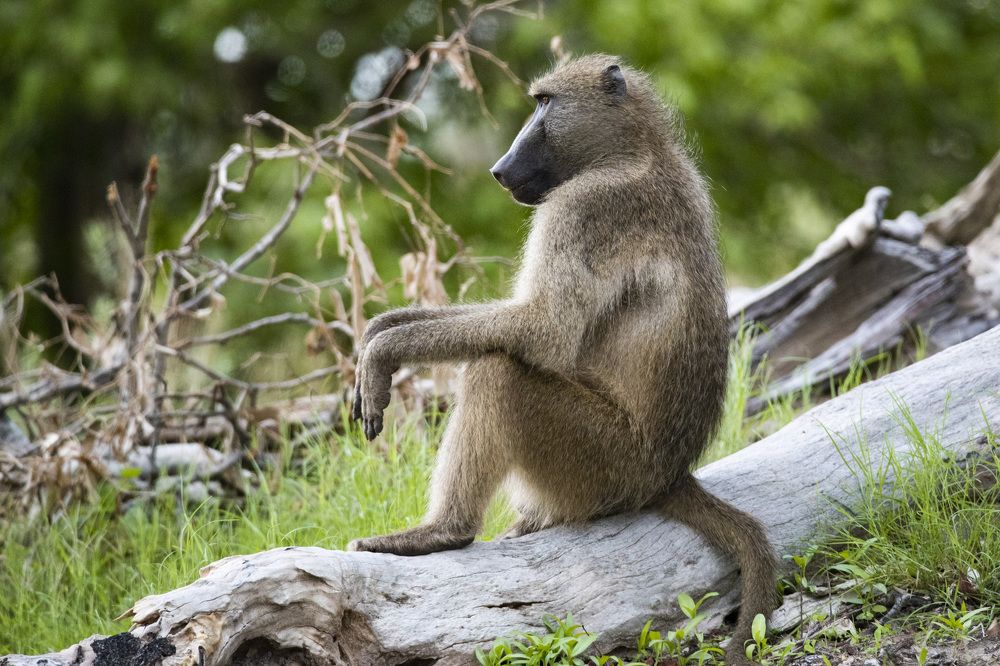 Photograph by Алексей Шаскольский