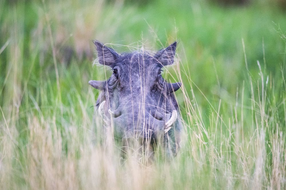 Photograph by Алексей Шаскольский