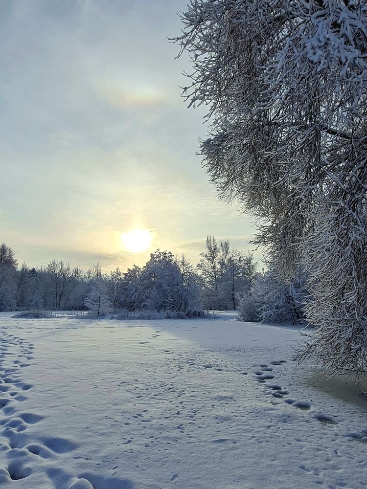 Photograph by Elena Lukashina