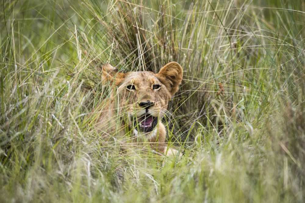 Photograph by Алексей Шаскольский
