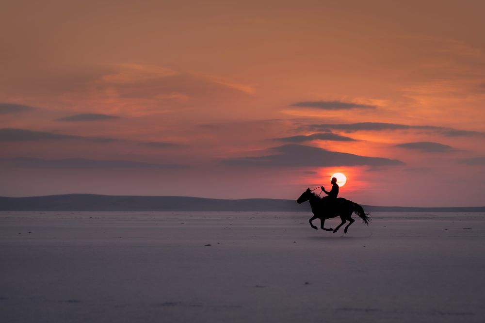 Photograph by Bevzenko Roman