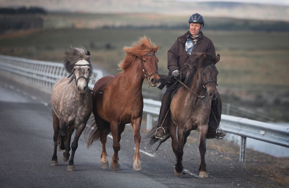 Photograph by Bevzenko Roman