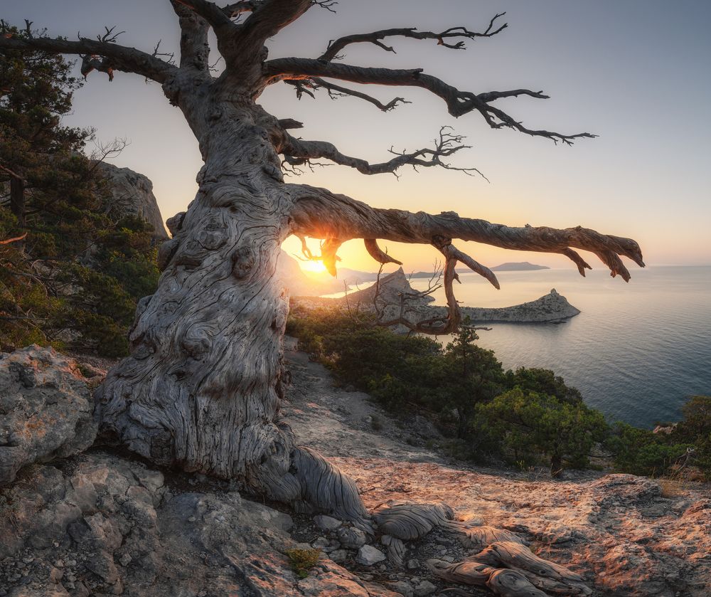 Photograph by Андрей Малыгин