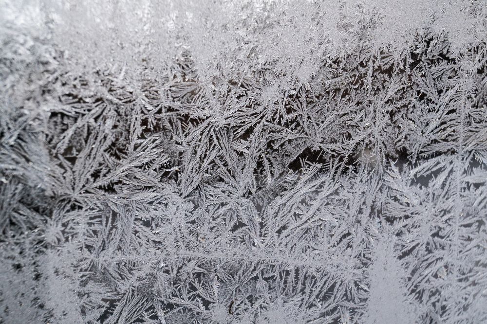 Photograph by Nikita Ostarkov