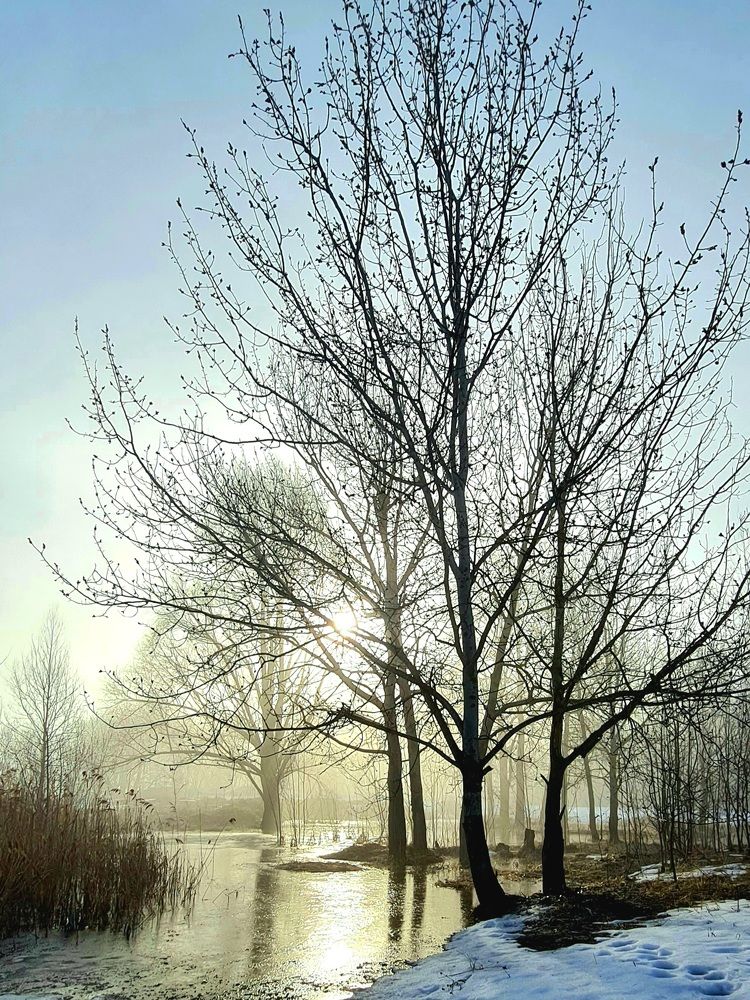 Photograph by Elena Lukashina