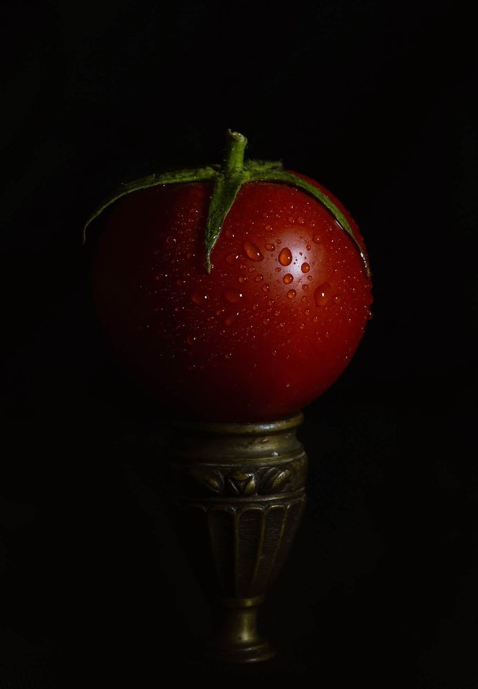 Фотография автора ebrahim omar