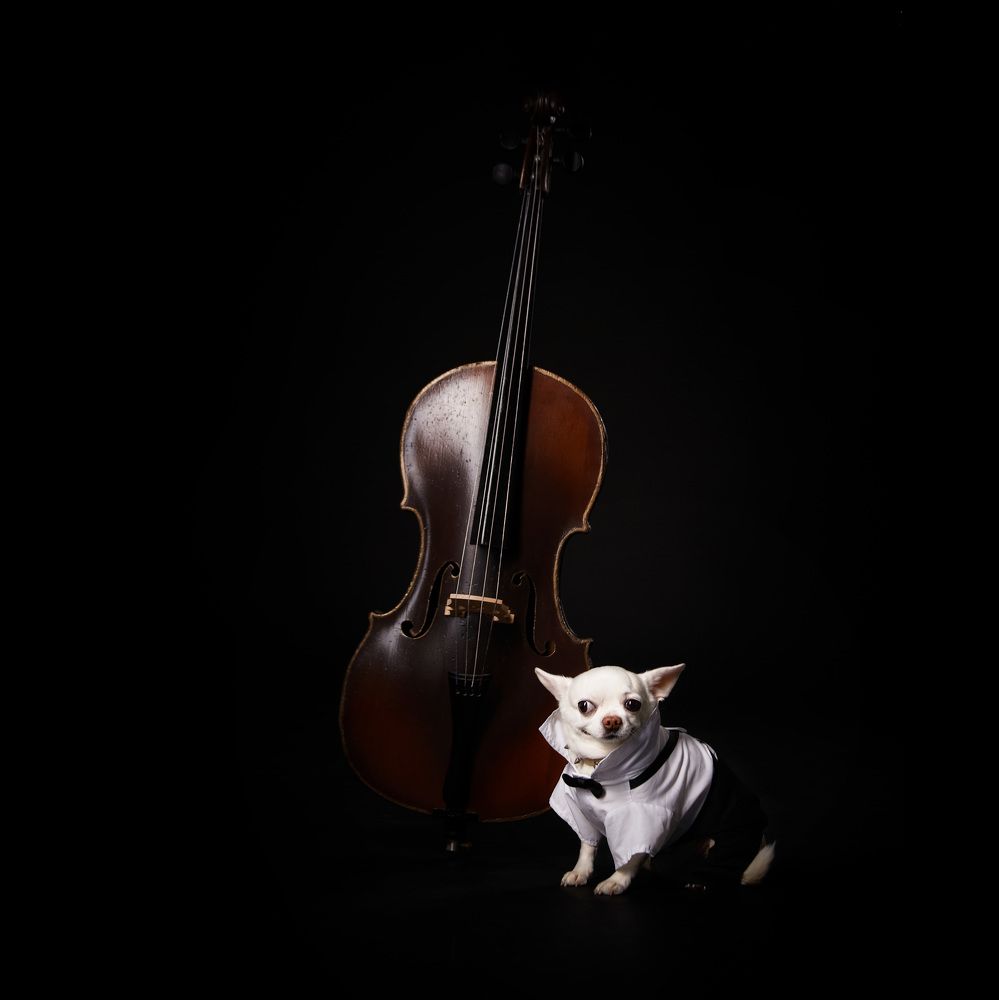 Photograph by Ирина Корх