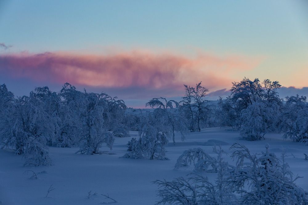 Photograph by Михаил