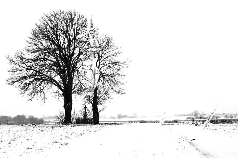 Photograph by Anna Suchcicka