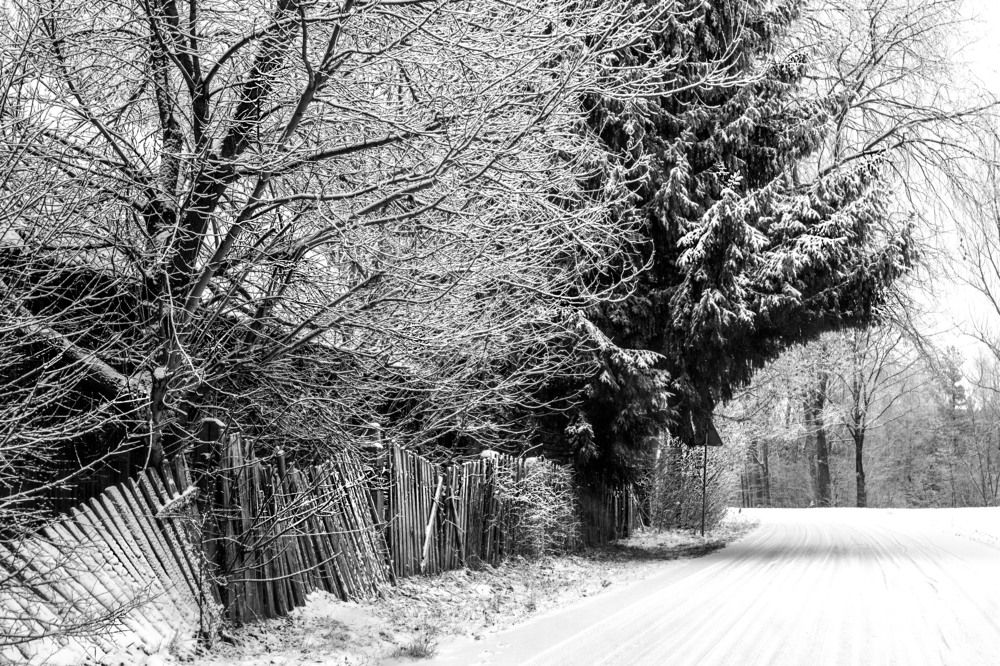 Photograph by Anna Suchcicka