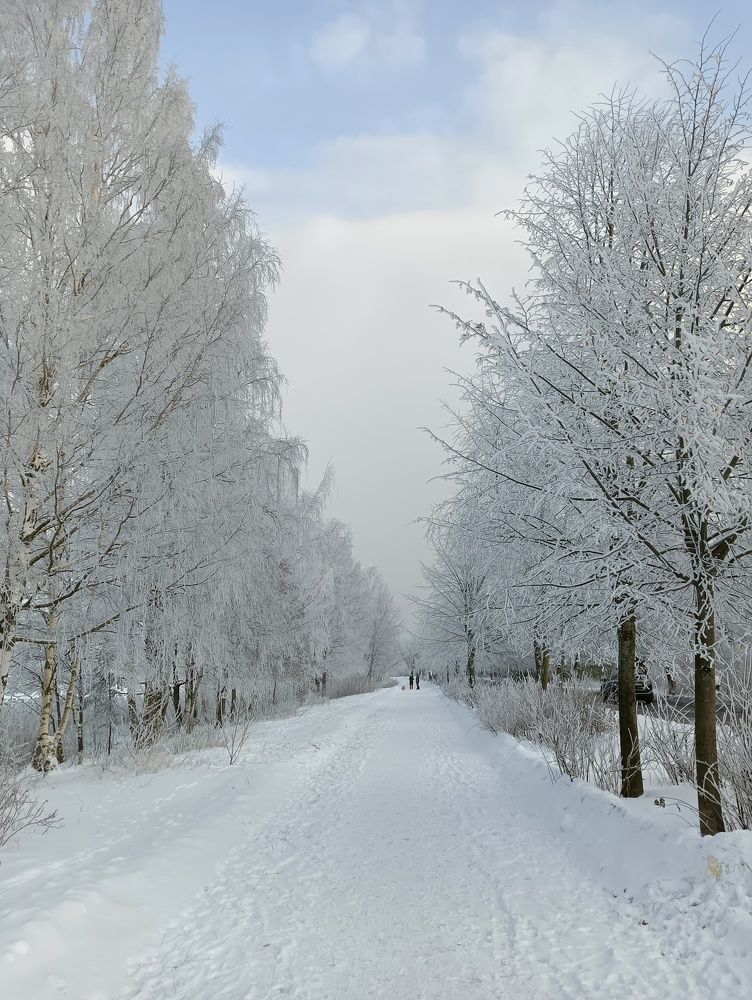 Photograph by Olga Smirnova