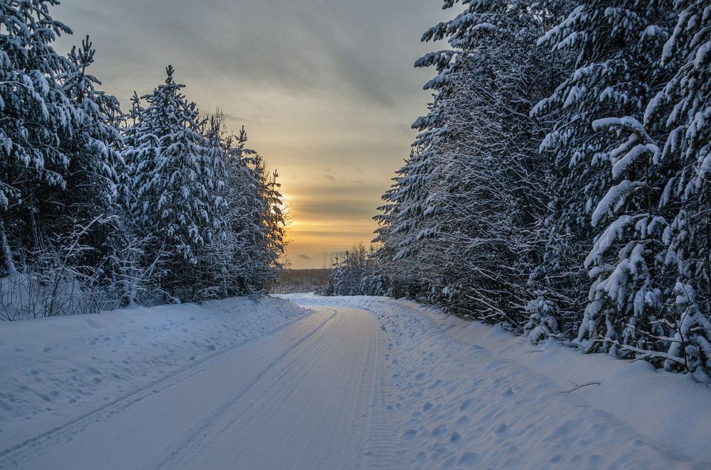 Photograph by Sergey L