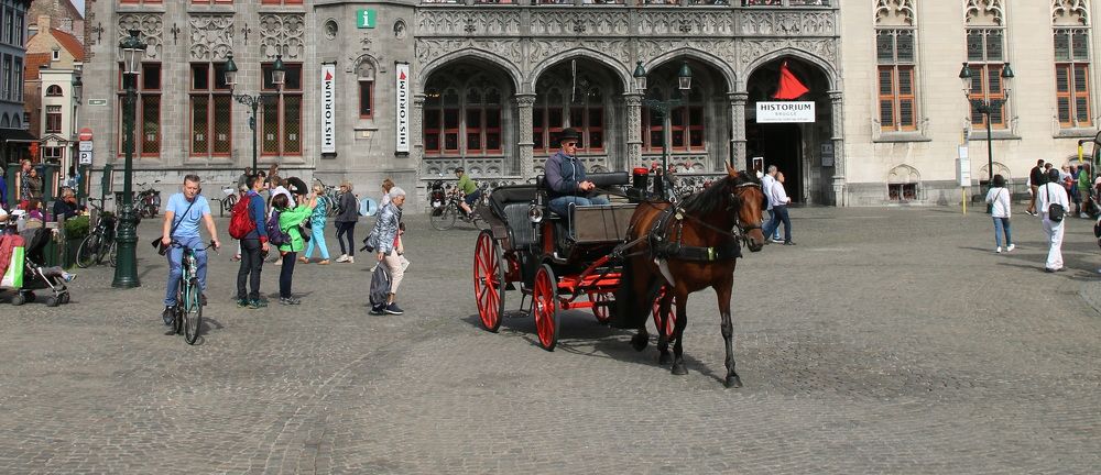 Фотография автора АЛЕКСАНДР ЦЫГЕЛЬНЮК