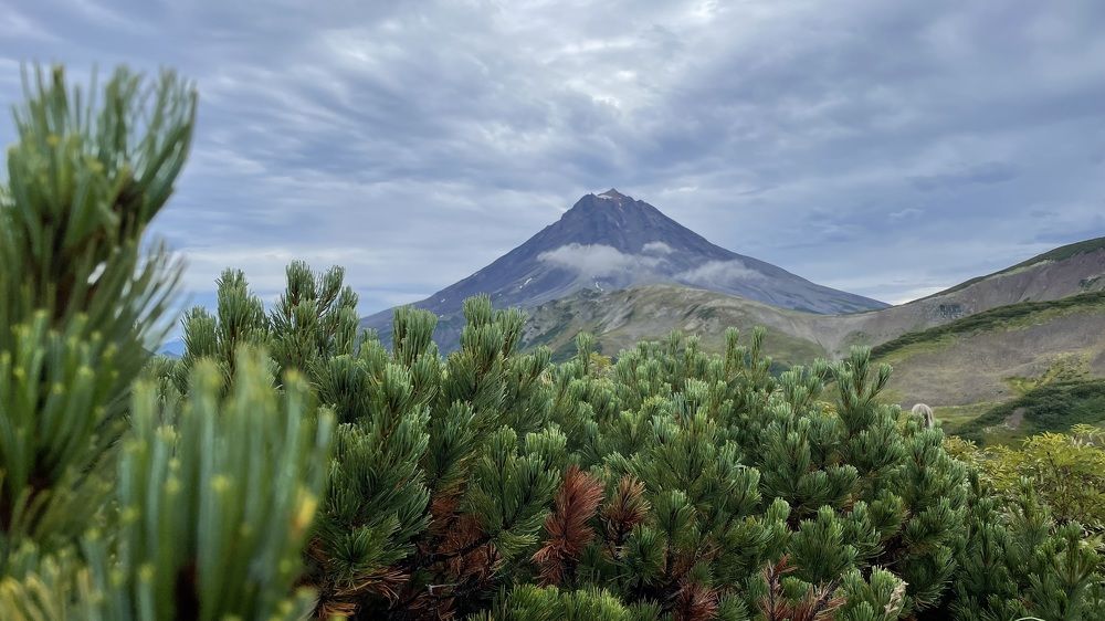 Photograph by Ольга Ильина