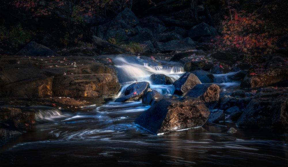 Фотография автора DAI LI YAN