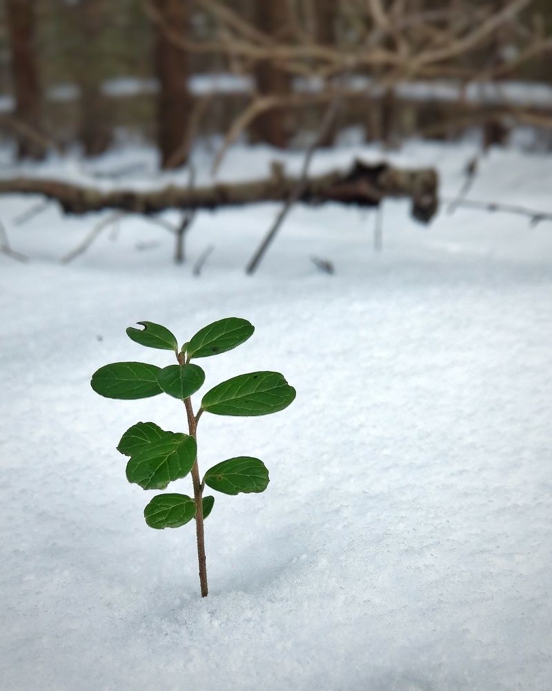 Photograph by Петр Поспелов