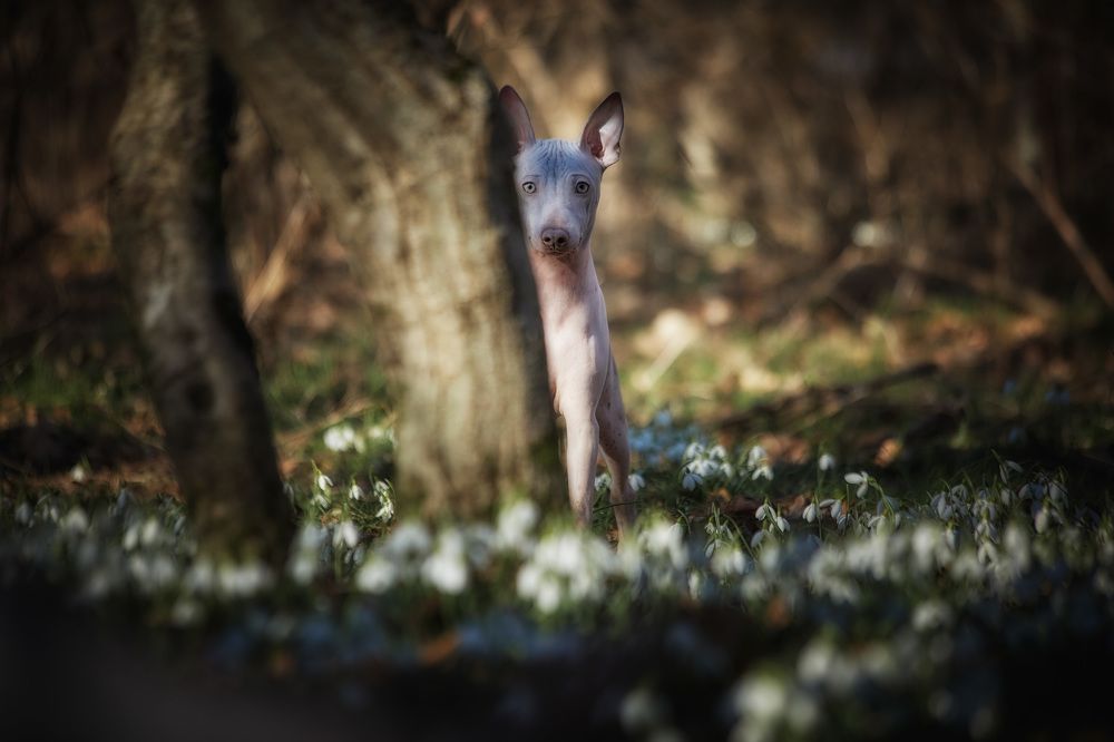 Photograph by Ирина Корх