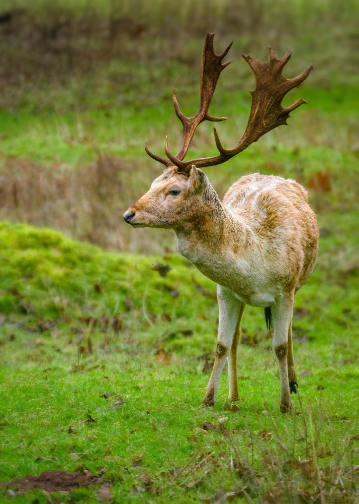 Photograph by Madhurya Mozumder