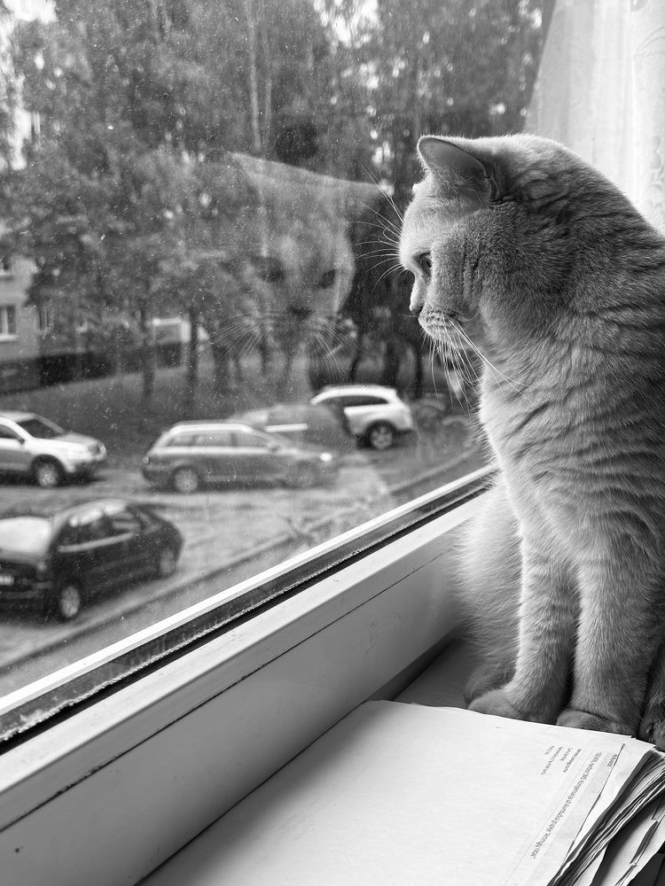 Photograph by Jelena