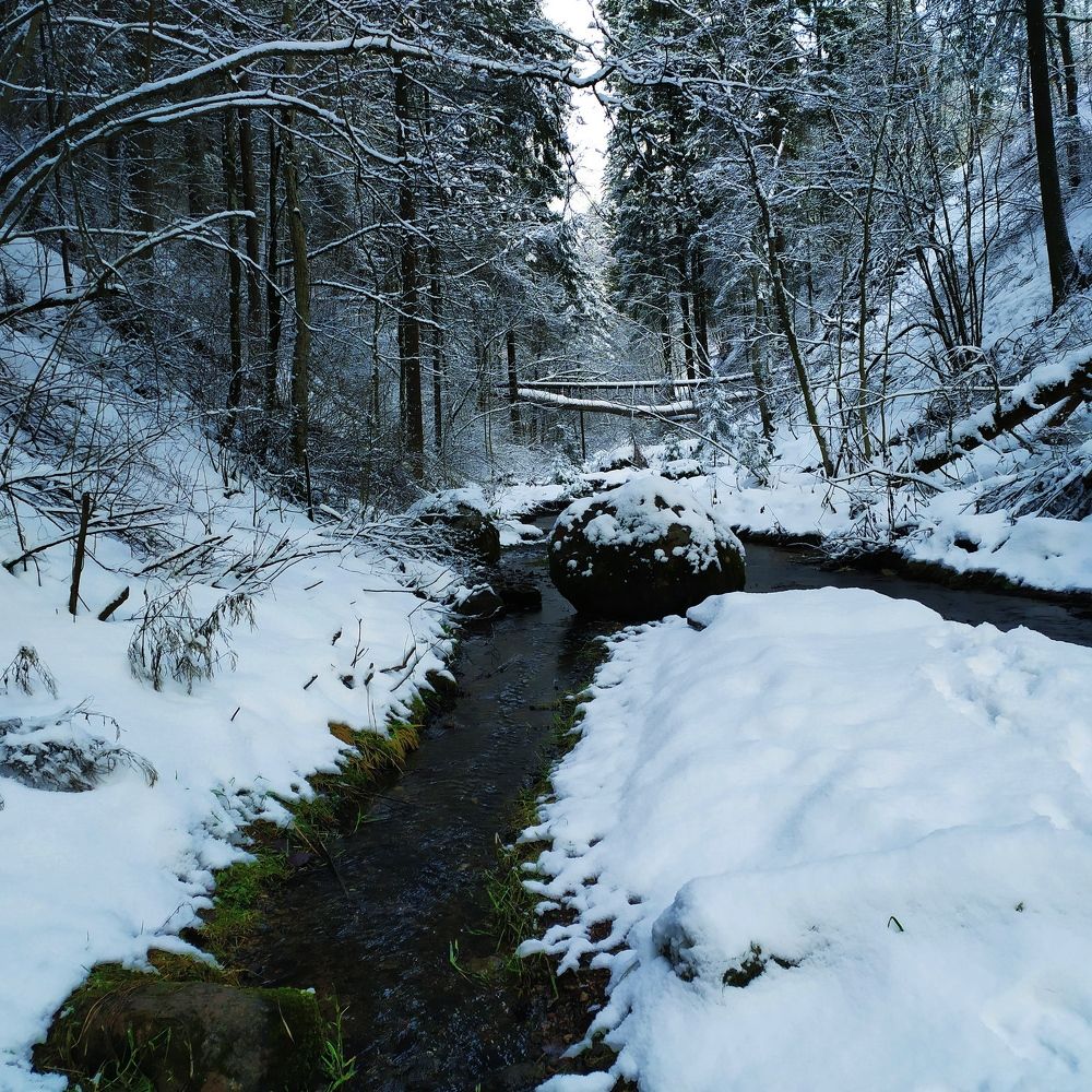 Photograph by Olga Kot