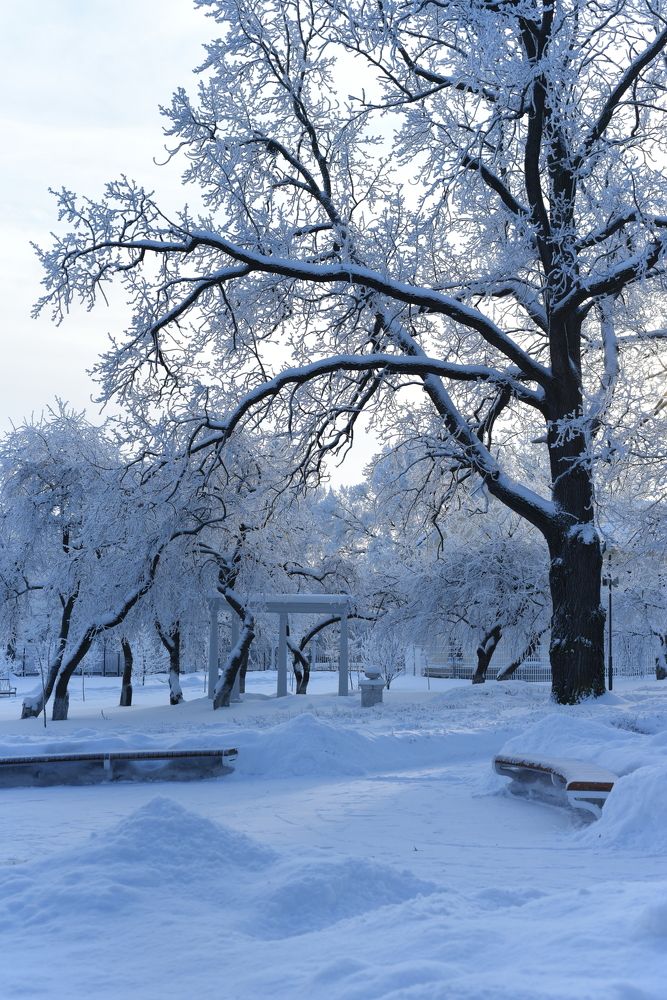 Photograph by Надежда Пухова