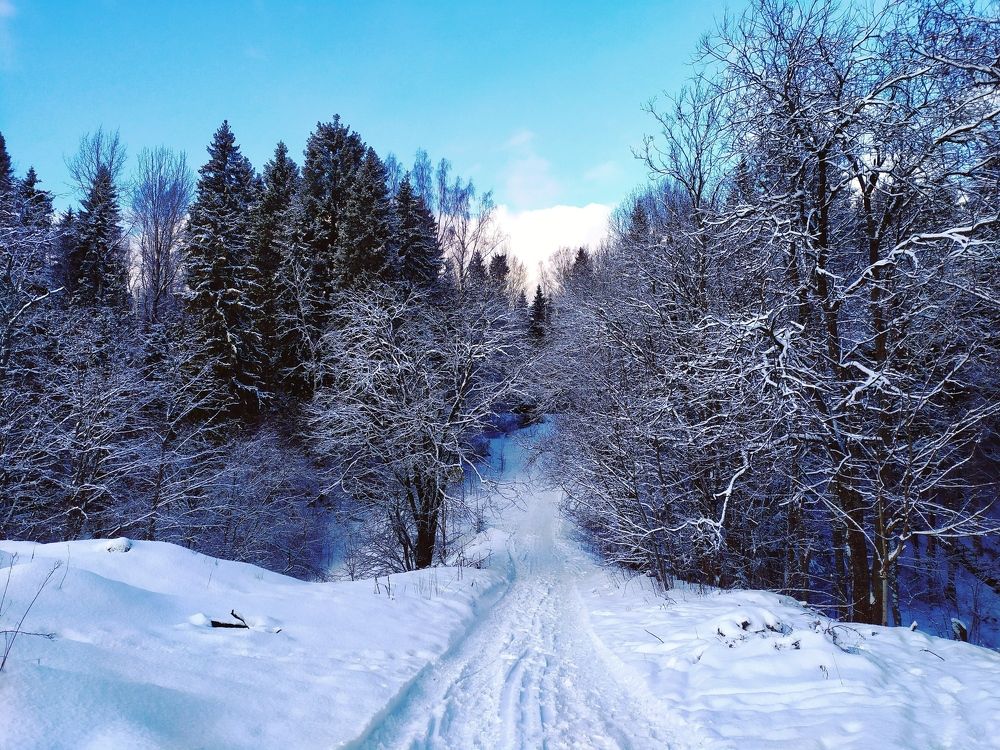 Photograph by Olga Kot