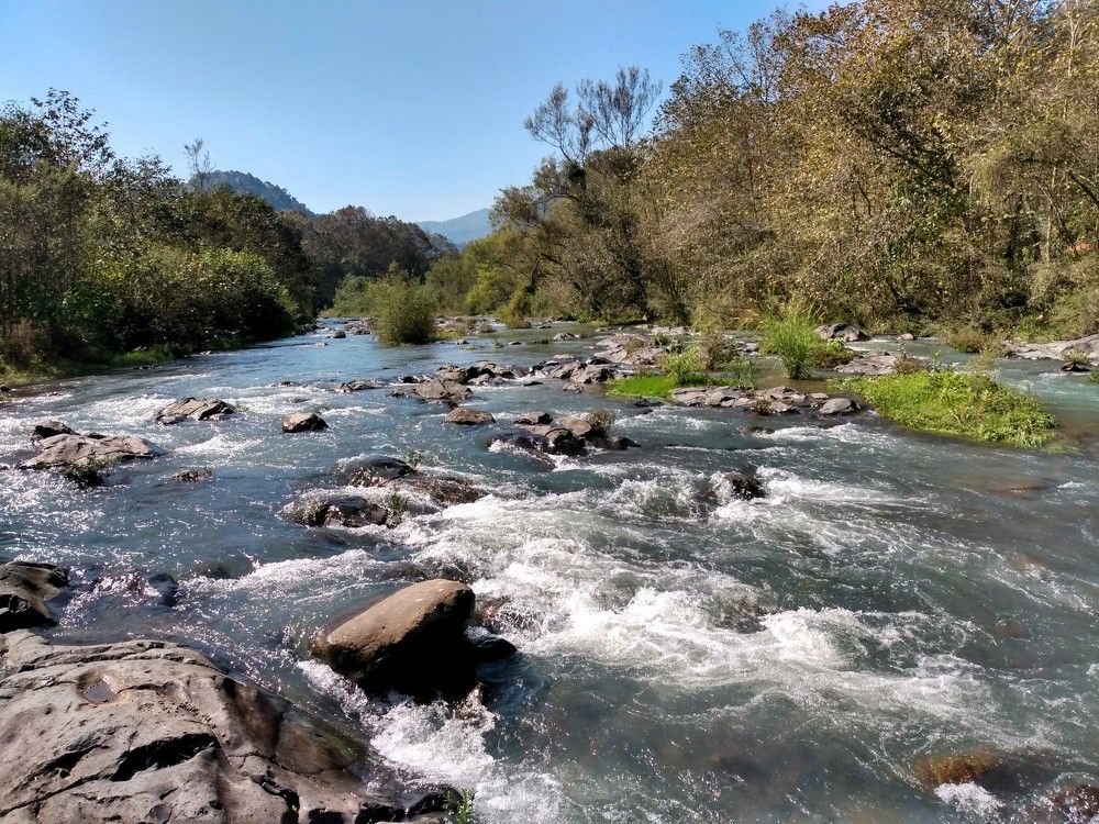 Photograph by José Luis Mendoza Machado