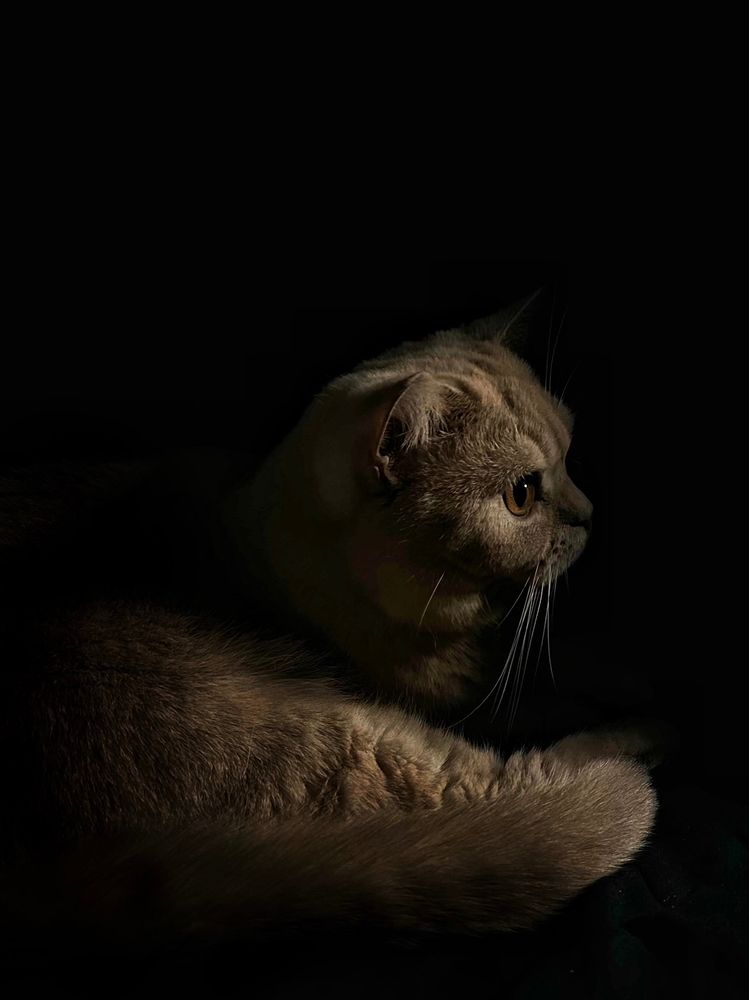 Photograph by Jelena