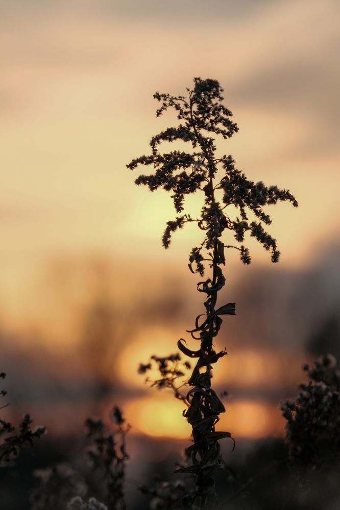 Photograph by Greg Noakes