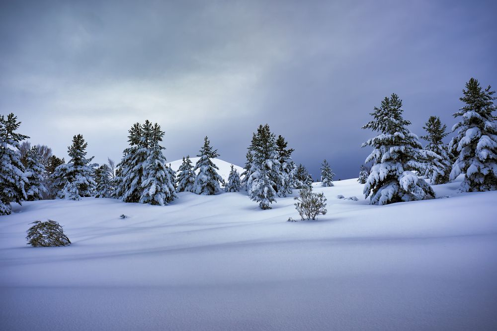 Photograph by Ignacio Municio