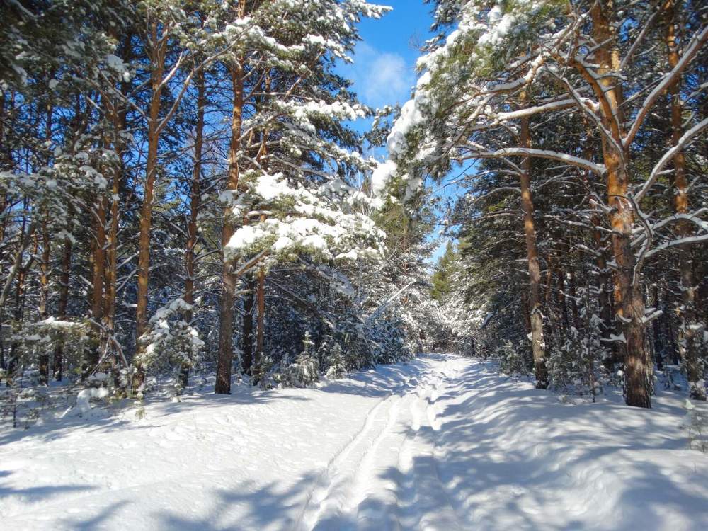 Photograph by Анжелика Трошина