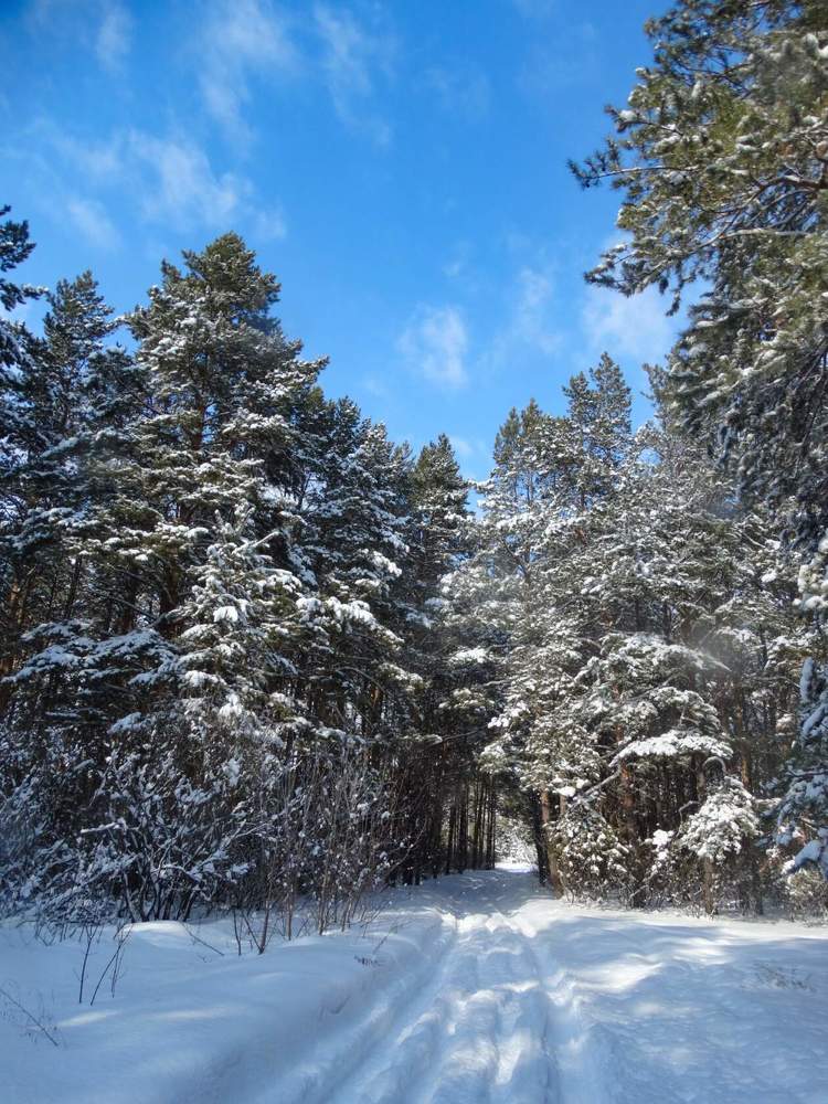 Photograph by Анжелика Трошина