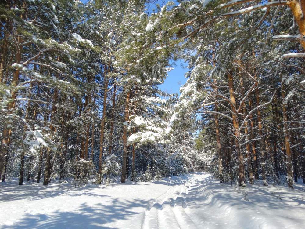 Photograph by Анжелика Трошина