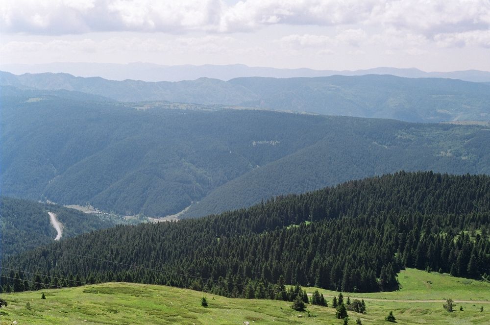 Photograph by Cengiz Yalcin