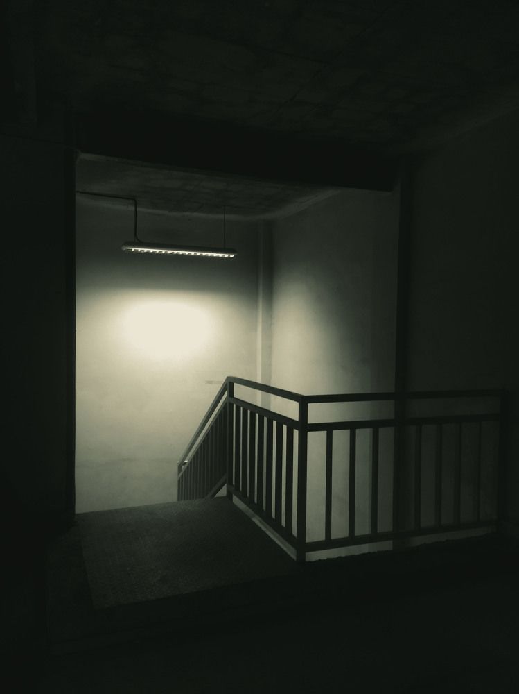 Photograph by Niloofar Amini