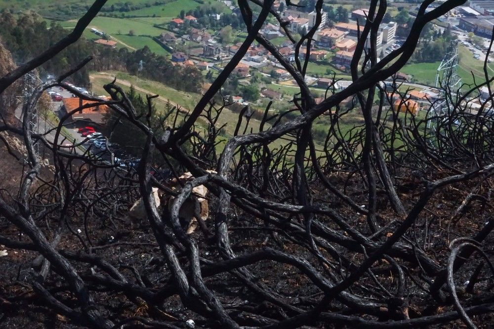 Photograph by Cristina EMBIL